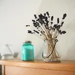 Palava House 4* Mikulov