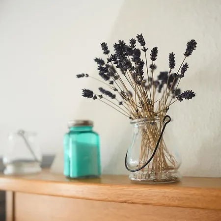 Palava House 4* Mikulov